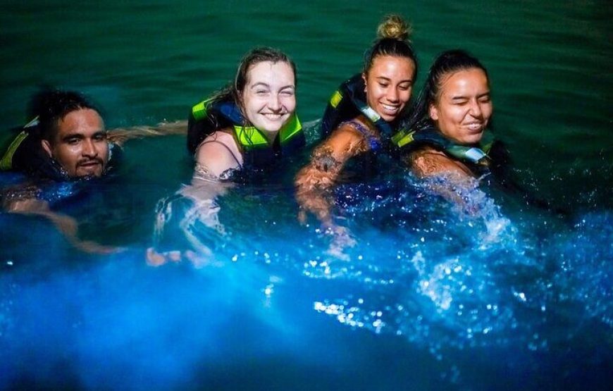 5 ISLANDS VIP (OPEN BAR+OCEANARIUM+PLANCTON)