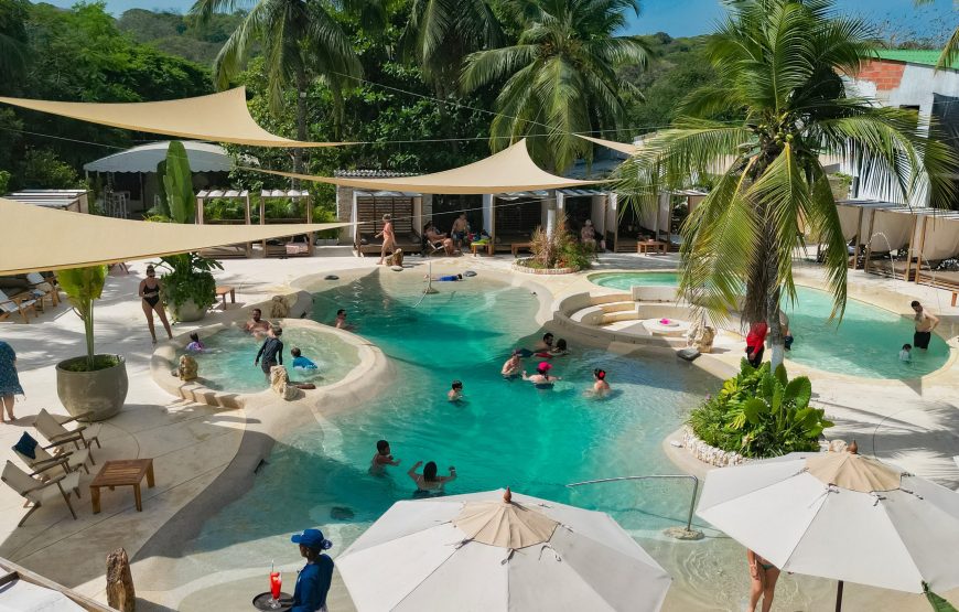 Monkey Bar Nightlife Tour Cartagena Colombia