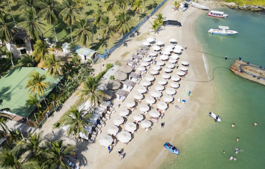 Monkey Bar Nightlife Tour Cartagena Colombia