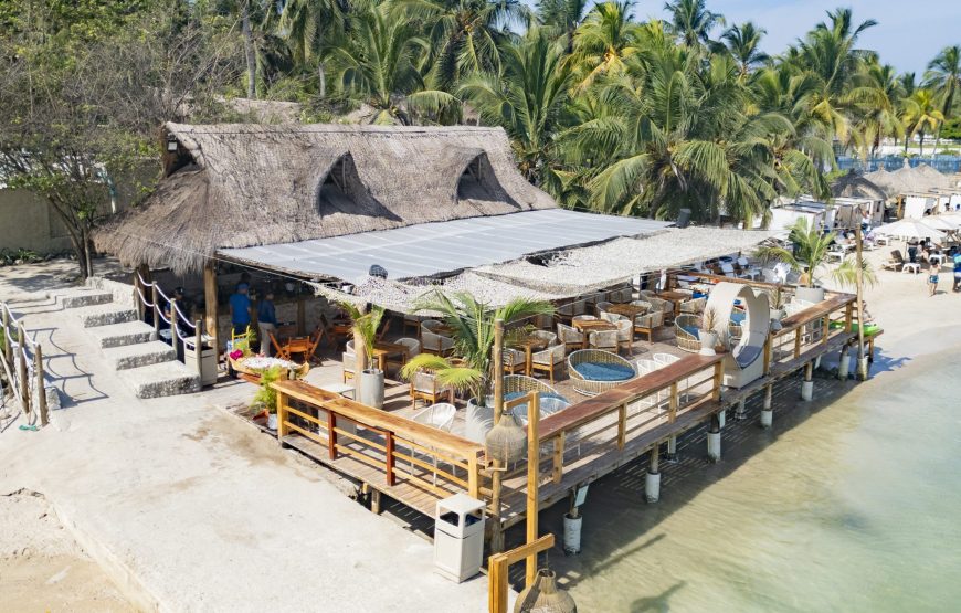 Monkey Bar Nightlife Tour Cartagena Colombia