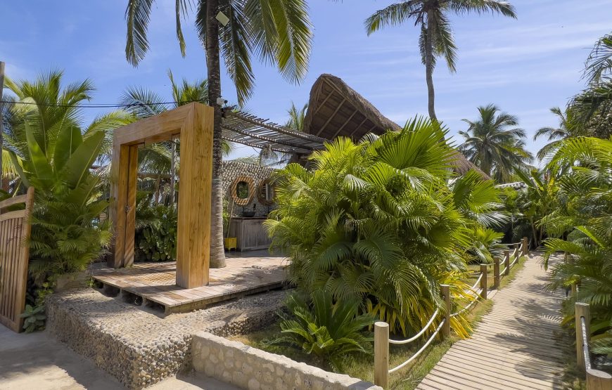 Monkey Bar Nightlife Tour Cartagena Colombia