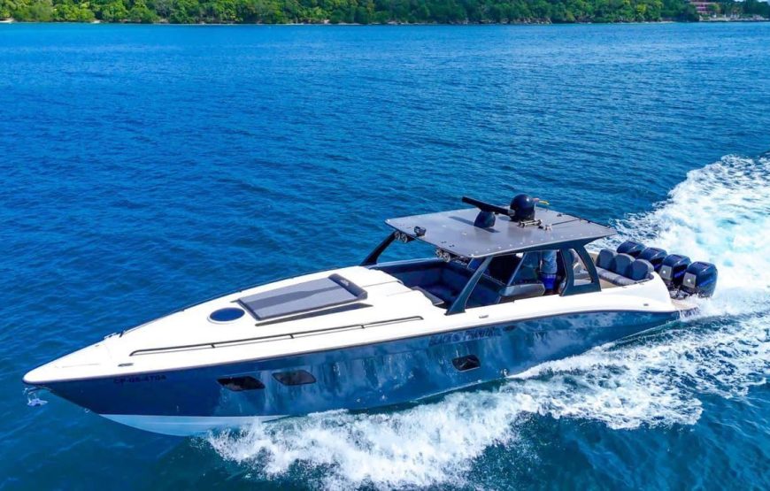PRIVATE BOAT BLACK PHANTER